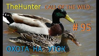 theHunter Call of the Wild Охота на уток # 95