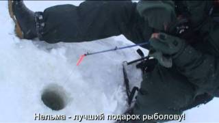 Блесним судака в Устье Камы. Нельма рулит.