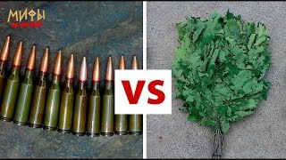 Стрельба через кусты - .223rem vs 7,62x39