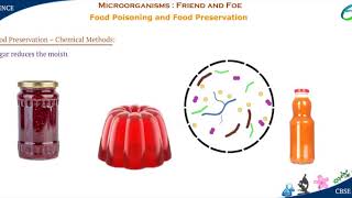 Microorganisms- Food Poisoning and Food Preservation