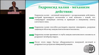 18.02.2017 - Контагиозный моллюск у детей - современные возможности решения проблемы