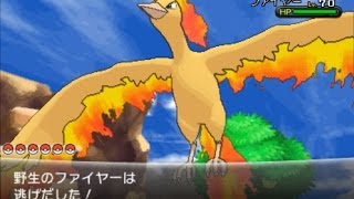ポケモンXをプレイ！part38 【高画質】ファイヤー