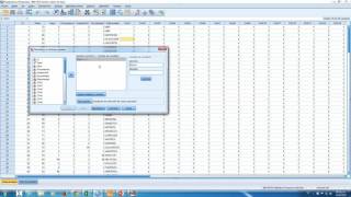 5 Estadística fácil - Preparación de los datos con SPSS