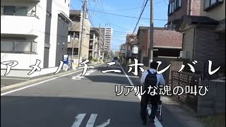 【脊髄小脳変性症】患者のドキュメンタリー映画 「アメノチニホンバレ」