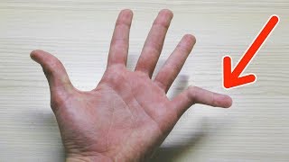10 ПРОСТЫХ ЭФФЕКТНЫХ ФОКУСОВ ДЛЯ НАЧИНАЮЩИХ ИЛЛЮЗИОНИСТОВ