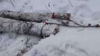 Тайфун Сибирь Трелёвка леса МТЗ 55А  по КОСОГОРУ Красноярский край Дивногорск