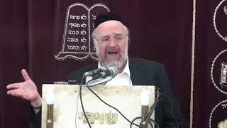 פרשת שמות תשע"ח - הרב ברוך רוזנבלום
