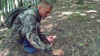 БЕЗДОННЫЙ ГРИБНОЙ ЛЕС! Третий ПОХОД ЗА ГРИБАМИ и опять на том же месте МНОГО ГРИБОВ!