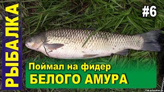 Рыбалка - Карп и белый амур на фидер. Хорошая рыбалка в районе Новосафоново
