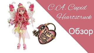 Обзор куклы C.A.Cupid Heartstruck Ever After High (CJT43)