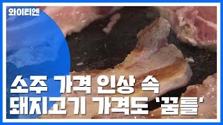 소주까지 도미노 가격 인상 대열에...돼지고기 '꿈틀' / YTN