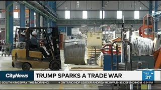 Has Donald Trump sparked a global trade war?