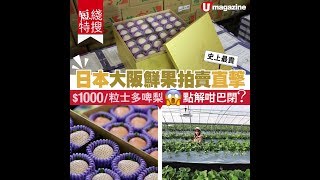 【#日本美食】日本大阪鮮果拍賣直擊　$1000粒士多啤梨點解咁巴閉？