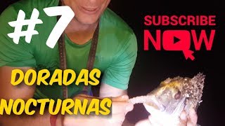 ??✔PEsCA DOraDA #2019# Doradas DE noche SURFCASTING huelva ALGARVE. ✔??#2019#
