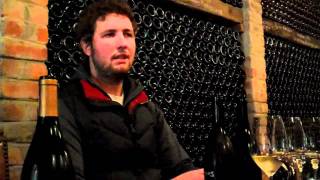 David Sadie on Swartland and Old Vines Economics