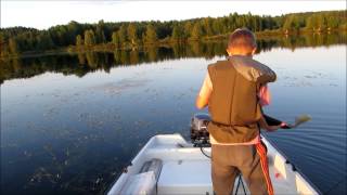 Augustifiske efter abborre och gädda | Del 1