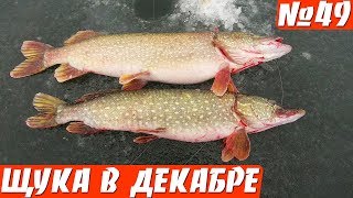 ХОРОШИЕ ЩУКИ НА ЖЕРЛИЦЫ! ПЕРВЫЙ ЛЕД!