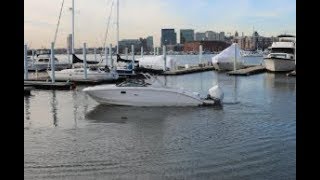 2020 Sea Ray 290 SDX For Sale at MarineMax Baltimore, MD