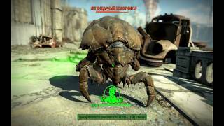 Fallout 4 #025(охотник/жертва)