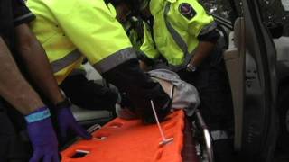 Trauma and Treatment-A#2177