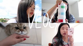 캐나다 브이로그 ?? l 미니 GRWM (feat. 속눈썹 꿀팁) + VLOG ?l 유니처럼