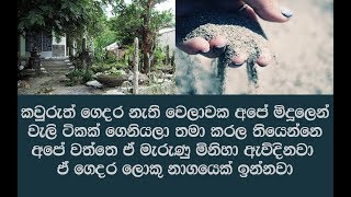 සත්‍ය කතාවක් - කොඩිවින කරල පවුලක් වනසපු උන්ට දිගට හරහට පව පඩිසන් දීපු හැටි බලන්නකො