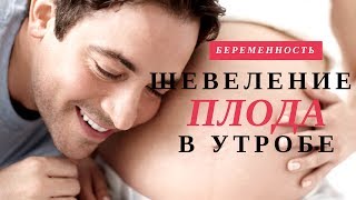Шевеление Плода | Недели Беременности |  Беременность