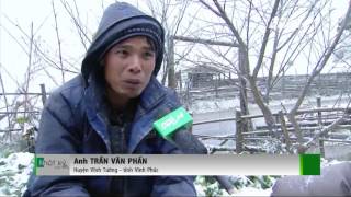 (VTC14)_Sa Pa: Nỗi buồn trong tuyết