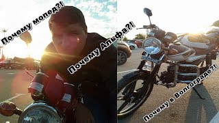 Видео 4. Почему я купил мопед Alpha "альфа" ZS 50 RX ?!