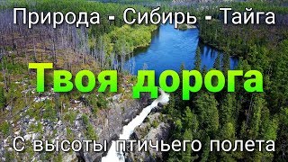 ПРИРОДА - СИБИРЬ - ТАЙГА с высоты птичьего полета / коптер видео / песнь песней Твоя дорога