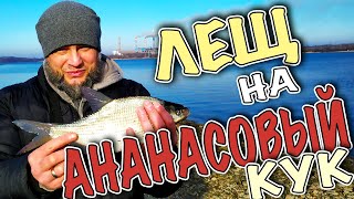 Ловля Леща Зимой на Гороховую прикормку