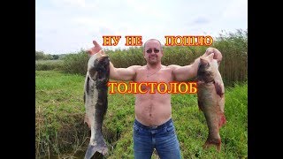 ТЕХНИКА ЛОВЛИ ТОЛСТОЛОБА