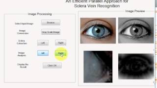 An Efficient Parallel Approach for Sclera Vein Recognition in matlab