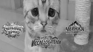 Как будут выглядеть колоды после обновления?