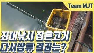 삼길포항좌대 우럭낚시 잡은거 방류하면 다시 올라올까?rockfish fishing[밀루유떼]