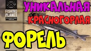 Fishing Planet Прохождение | Уникальная Красногорлая Форель | Колорадо, Озеро Рокки | 2016