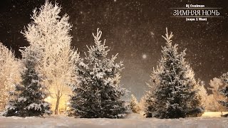 Dj Coolman - Зимняя ночь (парк 1 мая)