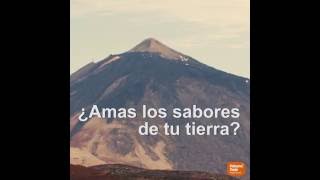 Cata taller de mieles y vinos dulces de Tenerife | Volcano Teide