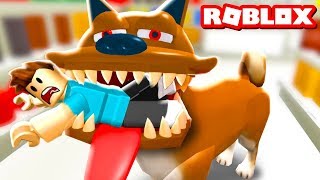 ОСТОРОЖНО ЗЛАЯ СОБАКА в ROBLOX! Игровой летсплей про собаку. Приключение от Кида #КИД