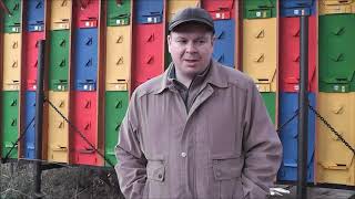 Отзывы о кассетном пчелопавильоне Берендей. В гостях у пасеки берендей Кураев Андрей  самарская обл