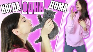 ЧТО ДЕЛАЮТ ДЕВУШКИ КОГДА ДОМА ОДНИ