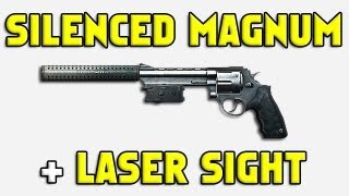 BF3 Silenced Magnum with a Laser sight in Battlefield 3.