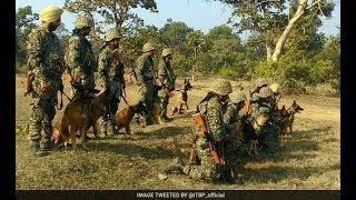 ITBP CONSTABLE| ANIMAL TRANSPORT| ADMITCARD RELEASED| DOWNLOAD SOON | HOW TO DOWNLOAD LIVE VIDEO
