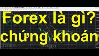 Forex là gì, nên chọn sàn nào để giao dịch, chọn sàn uy tín, phân tích kỹ về Forex