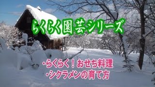 河村通夫のらくらく園芸11年12月 らくらくおせち・シクラメンの育て方