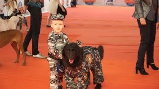 XIX Нацональная выставка собак всех пород. Кубок Нижнего Новгорода 2016. Часть 1.