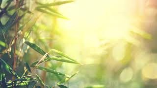 Instant Calm, Beautiful Relaxing Sleep Music, Dream Music