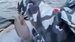 Рыбалка. Ловим на пяточек и тирольскую палочку