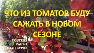 Какие буду сажать томаты в новом сезоне. Обзор новых сортов и гибридов томатов. Томаты. Помидоры.