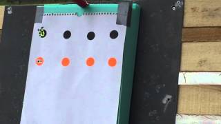 Daystate AirWolf MCT .22 FAC @ 35 yards